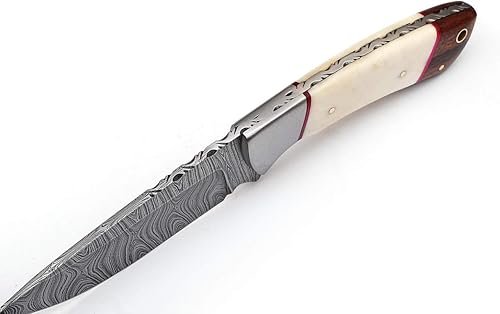 Miniatura 4 de RANDY Cuchillo de caza de acero de Damasco mejor cuchillo de caza de Damasco para caza y camping cuchillo con funda de cuero (9022) sobre todo 9