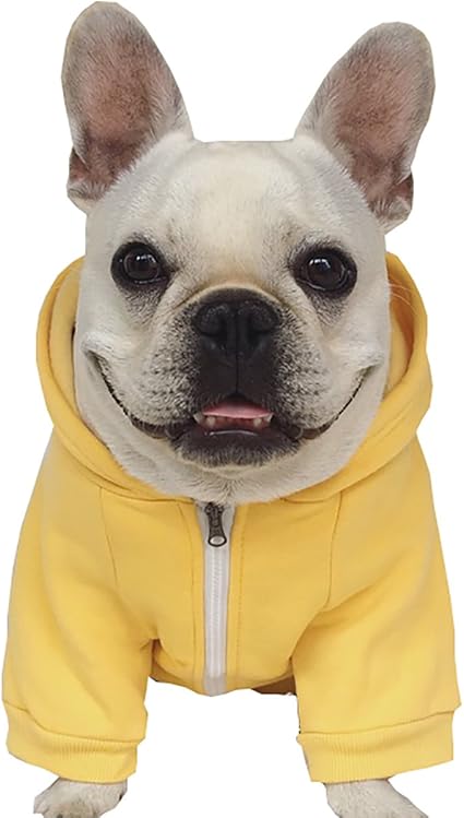funny dog hoodies