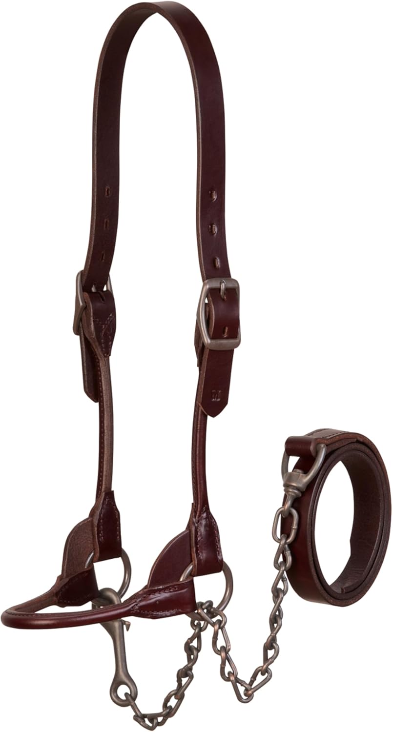 Weaver Leather Bombshell Show Halter, Brown, Medium
