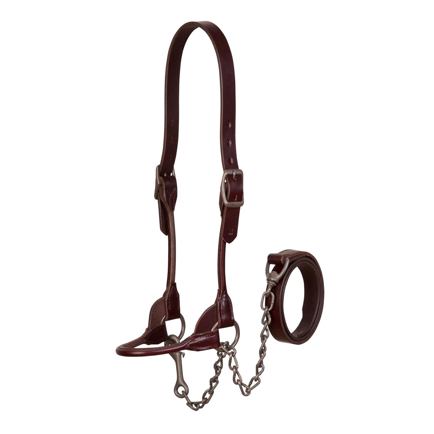 Weaver Leather Livestock Bombshell Show Halter - Review, Price and Buying Guide
