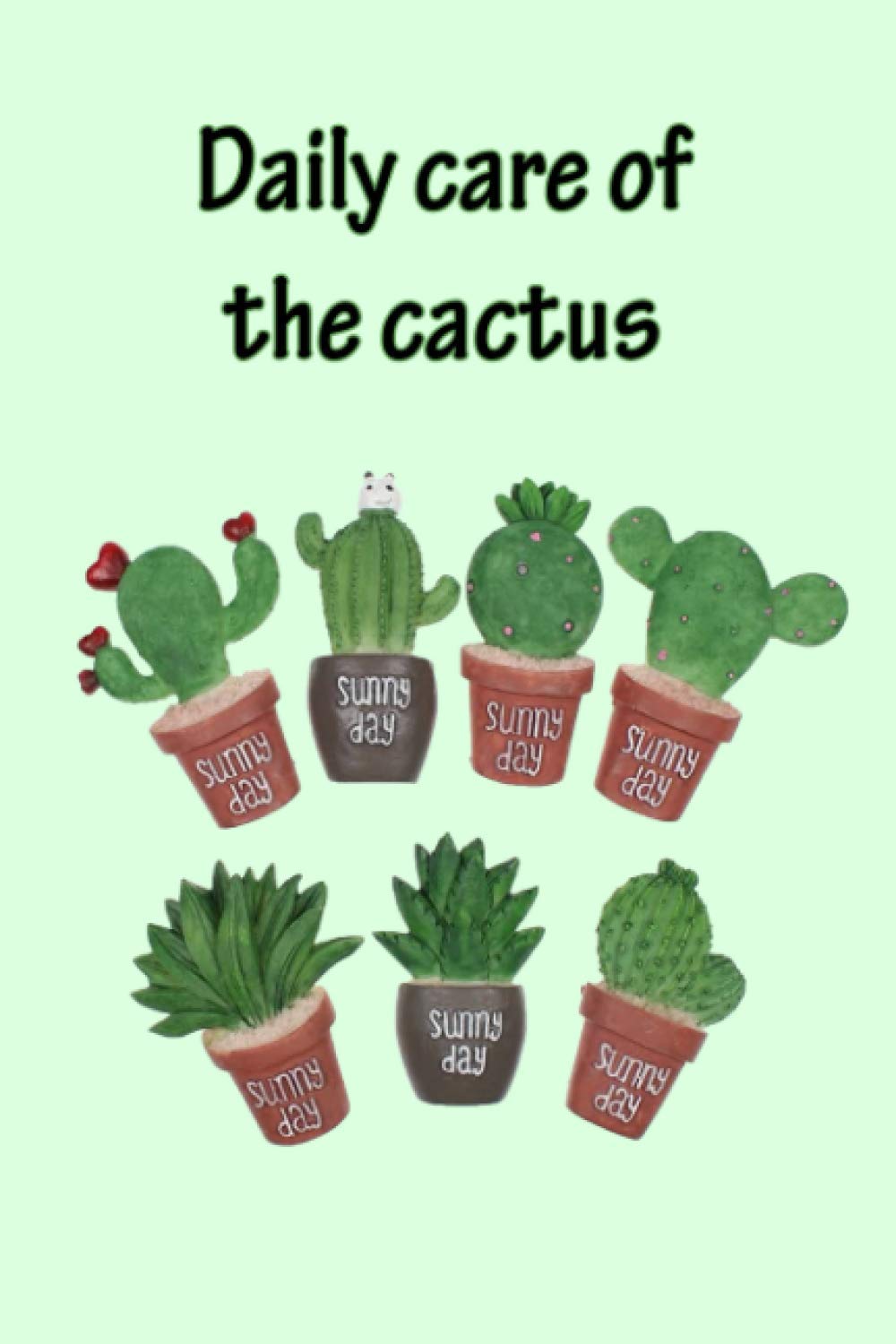 Daily care for the cactus