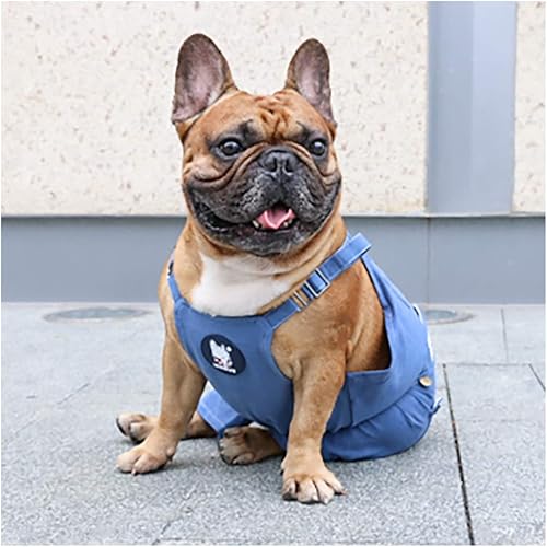Miniatura 7 de iChoue Lindos pañales para perro con tirantes para bulldog francés, pug francés, bulldog inglés, hembra, en ciclo de calor, azul, talla M, con 2