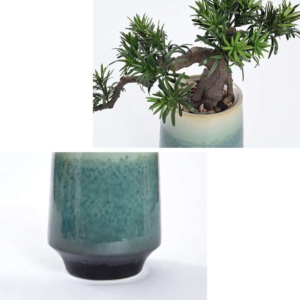 Ysh_sugawara69】皐月（赤サツキ）盆栽 CS001 Ysh_sugawara69様専用