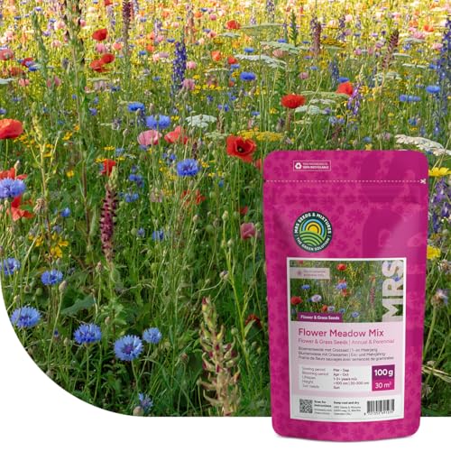 MRS Prairie de fleurs sauvages avec graminées - 100 g pour 30 m² - Graines annuelles et vivaces - 60% d’herbes et 40% de fleurs - Attire abeilles,...