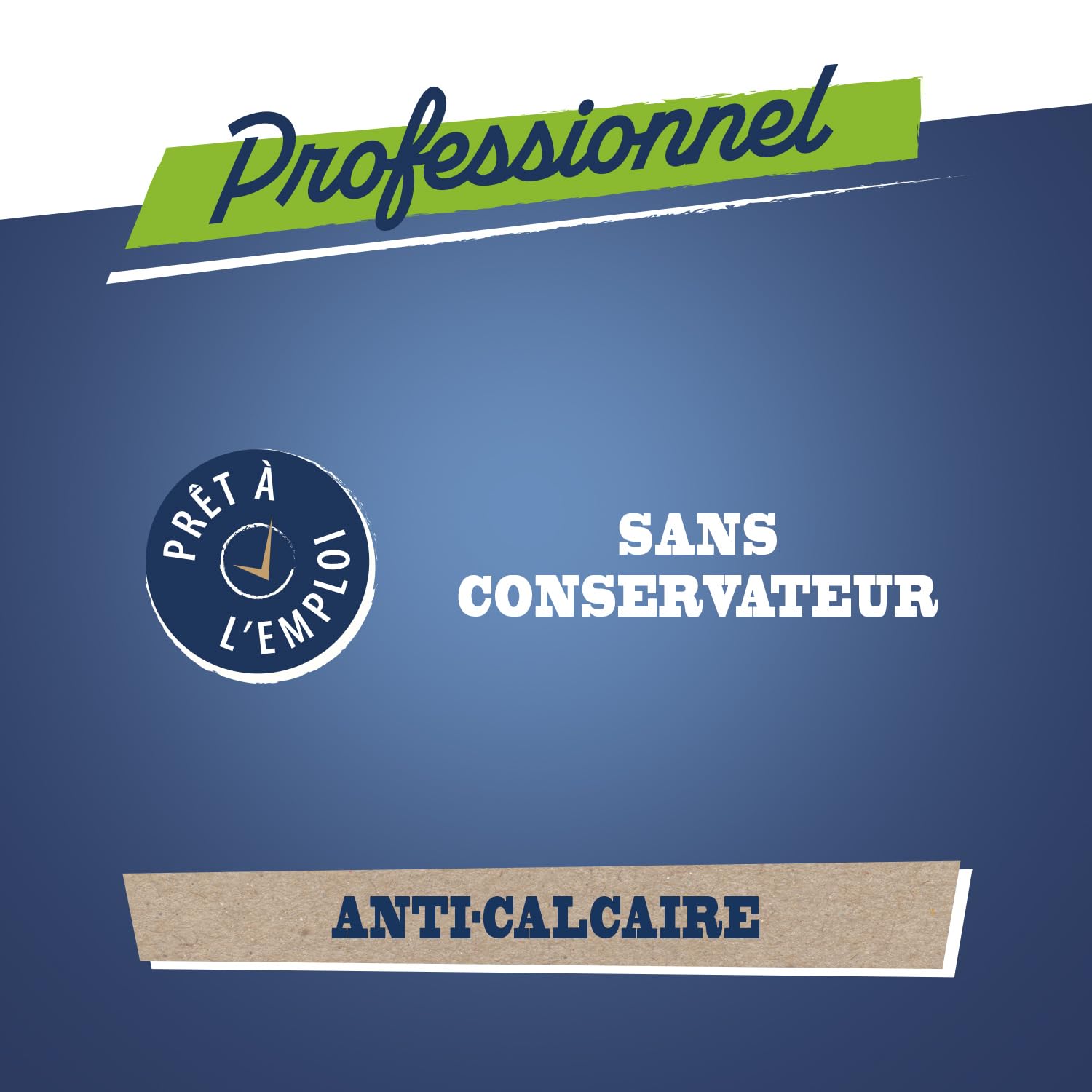 Briochin professionnel - Décapant sanitaire Briochin Pro 5L - Avec un flacon pulvérisateur vide