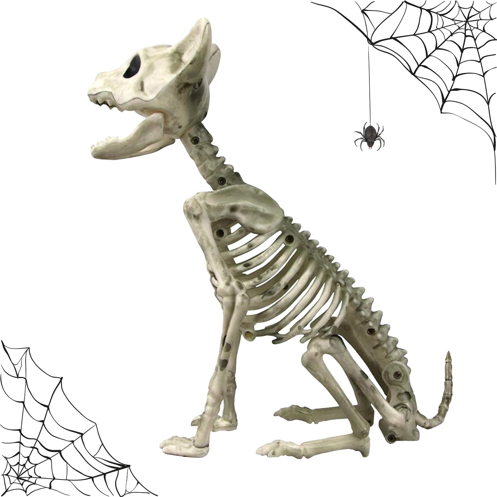 CavspkArt Halloween Cat Skeleton Decoration,Plastic Animal Skeleton Bones,Simulation Cat Skeleton Scary Model,Halloween Skeleton Props,Halloween Party Decorations for Haunted House,Garden,Patio — image 1