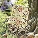 FolkArt Garden Mini Stencil Pack