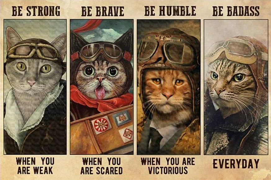 Cat Pilot Be Strong Be Brave Be Humble Be Badass Everyday Poster Home Decor Art Wall Decor Metal Sign Poster 8x12 inches