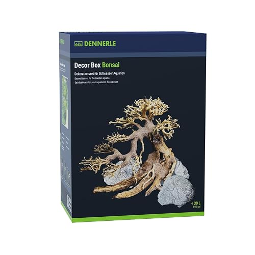 Dennerle Decor Box Bonsai - Set de decoración para acuarios de Agua Dulce