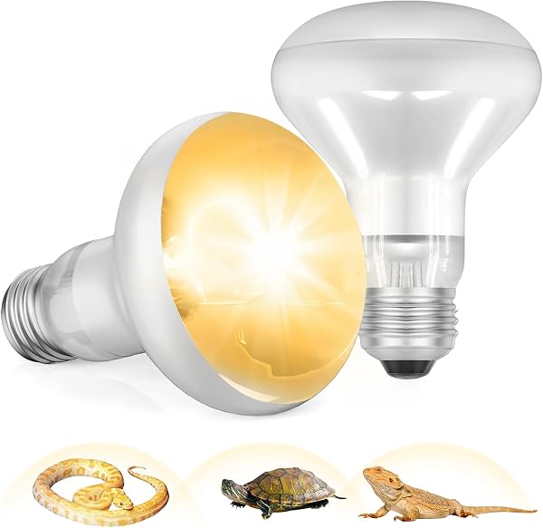 Lampada riscaldante per rettili E27, lampadine riscaldanti da 2 pezzi, aiuta la salute e la visione dei colori di tartarughe, lucertole, serpenti e tutti i rettili (220-240 V, 100 W) - 1