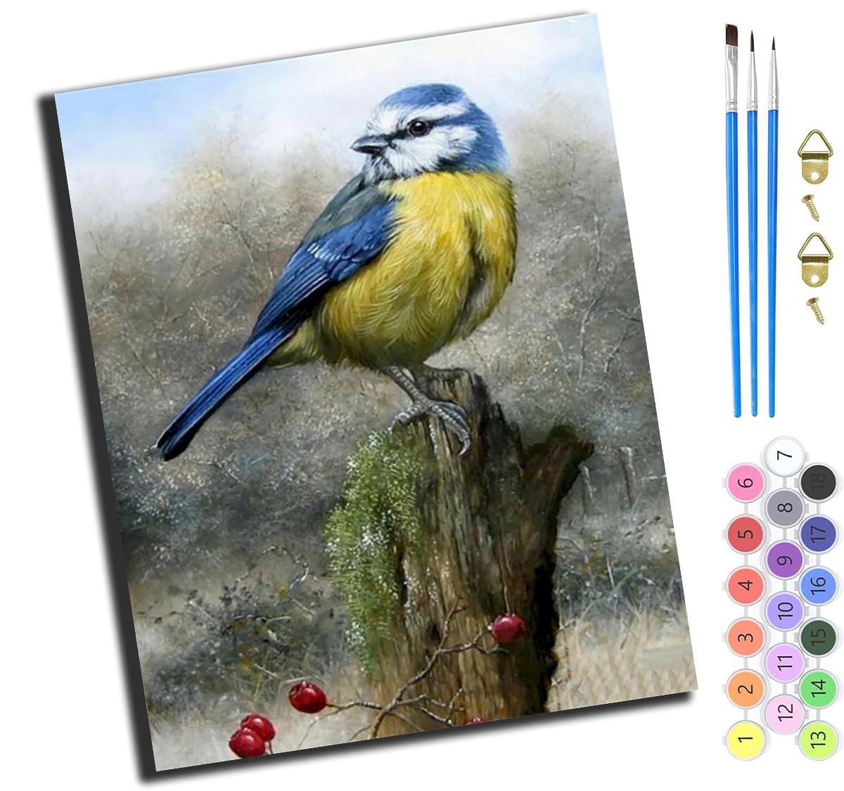 XIAOYOUQIAN Winter Blue Tit,Paint by Number Kit for Adults Beginner,DIY Acrylic Hand Oil Paintin Kits On Canvas Art Crafts for Home，16 X20 Inch，-Frameless