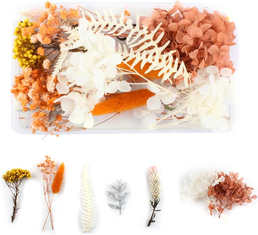 8 Stück Weiße Schleierkraut Trockenblumen - Getrocknete Blumen Für DIY & Hochzeitsdeko