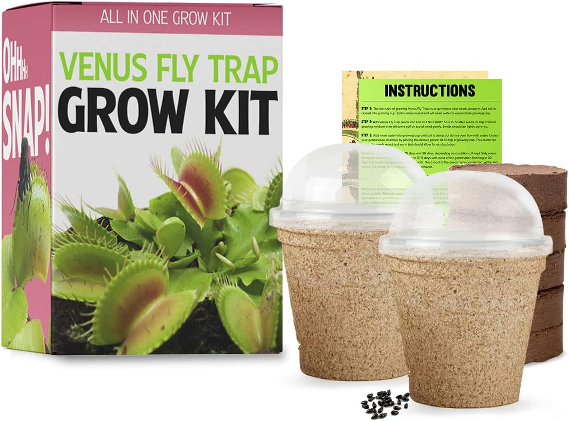 Venus Fly Trap Seeds Growing Starter Kit All in One Carnivorous Plant - Chamber Germination Dionaea Muscipula Perfect to Catch Flies Beginner (2 Pack)