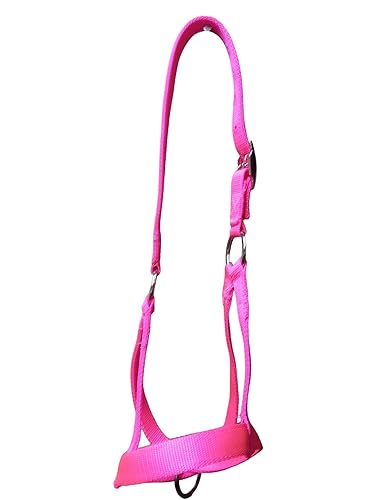 Miniatura 7 de Cattle Halter with Padding. (Bull, Red)