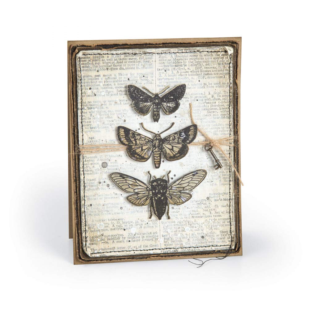 Tim Holtz Entomology – Stampers Anonymous Haftstempel und Sizzix Framelits Stanzschablonen-Set – 2-teiliges Set
