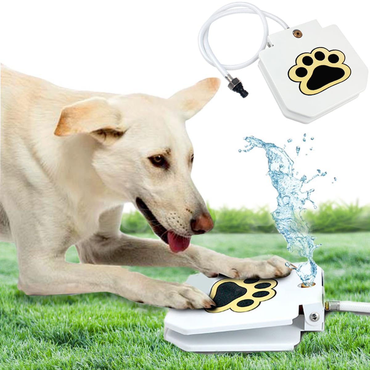 Genovation Fontaine à Eau pour Chien - Facile à activer
