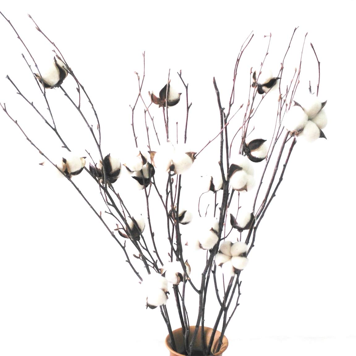 Dongliflower Arts White Natural Cotton Boll Balls Branch Spray Birch Stalk Twig (3)