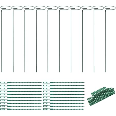 Amazon 10本入り 植物サポート杭 60cm 植物サポートステーク 植物サポート棒 花サポートステーク メタルガーデンプラント杭 金属植物サポート 園芸 ガーデニング用品 植物に優しい 簡単設置 野菜サポート 花支え 盆栽用 果物 支柱 苗木 固定 園芸用結束用品 支柱パーツ
