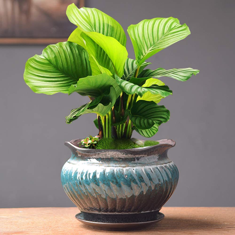kreatywna szmaragdowa doniczka ceramiczna dużego kalibru zielone rośliny doniczka ceramiczna wewnętrzna mięsista roślina duże bonsai wisząca orchidea zielona rzodkiewka doniczka na mięso