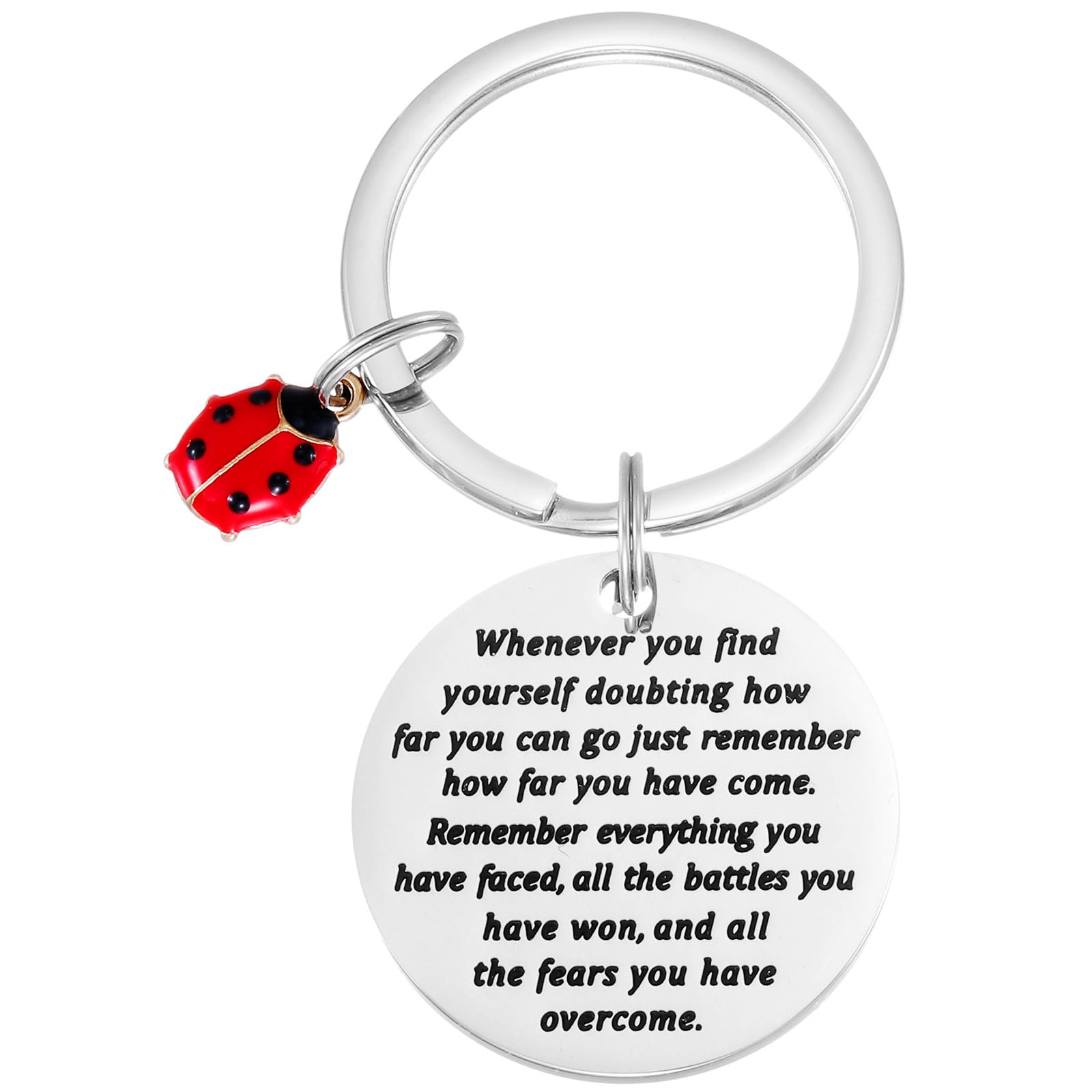 Ladybug Keychain for Women Men Inspirational Miraculous Lady Bug Birthday Good Luck Jewelry Ladybug Keychains