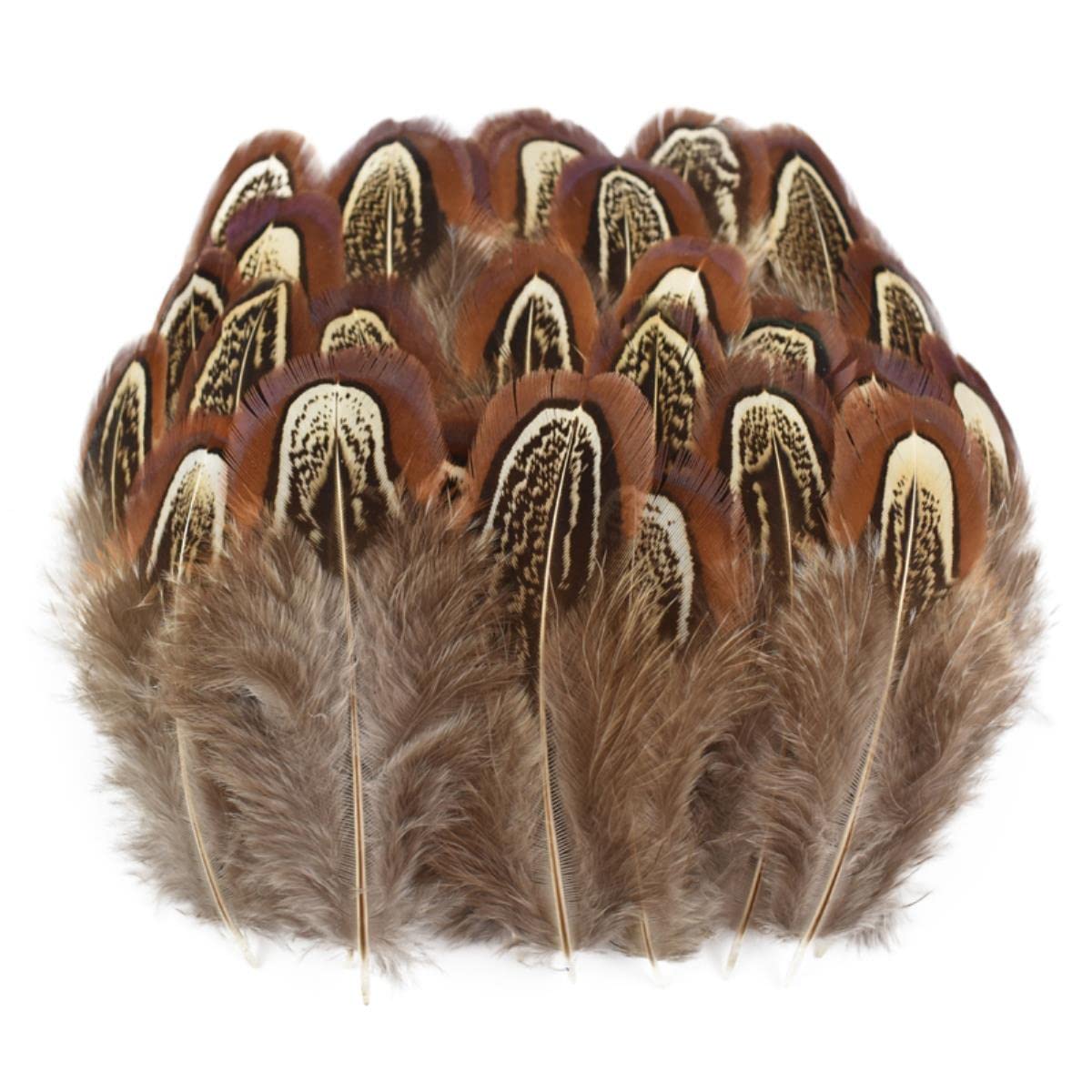 Natürliche Fasanenfedern, kleine Pfauen, Gänse, Huhn, Feder, Traumfänger, Dekoration, DIY, Schmuck, Handwerk, Dekoration, Größe 5–10 cm, 500 Stück