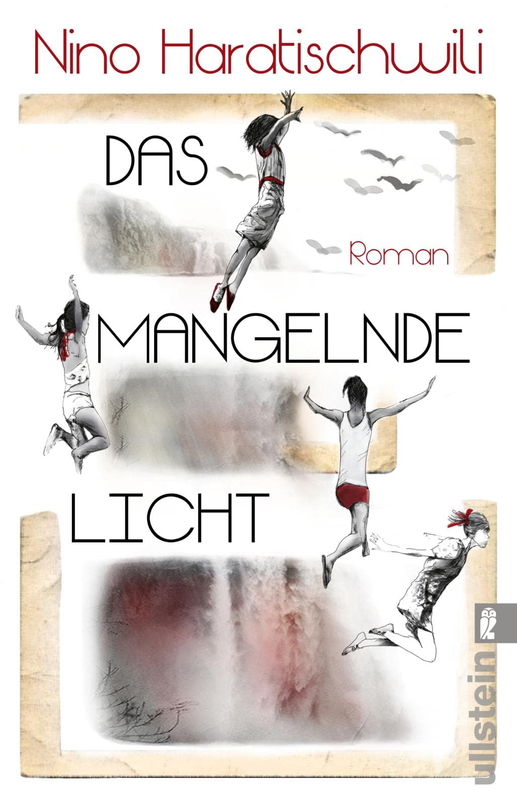 Das mangelnde Licht: Roman | Der jüngste Roman der großen georgisch-deutschen Erzählerin - wochenlang auf der Bestsellerliste und von Kritikern hoch gelobt
