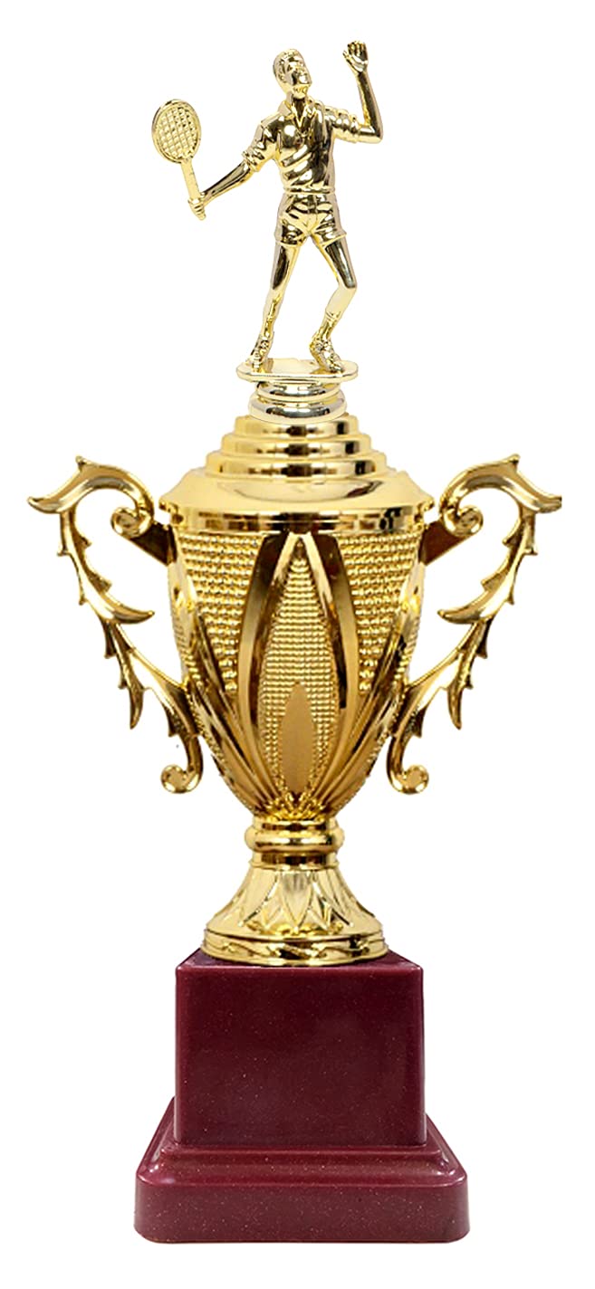 Be Win Winner Golden & Fiber Badminton On Cup Trophy for Badminton Compitetions, School Games, Badminton Events & Functions (B09GVMNL92) Amazon Price History, Amazon Price Tracker