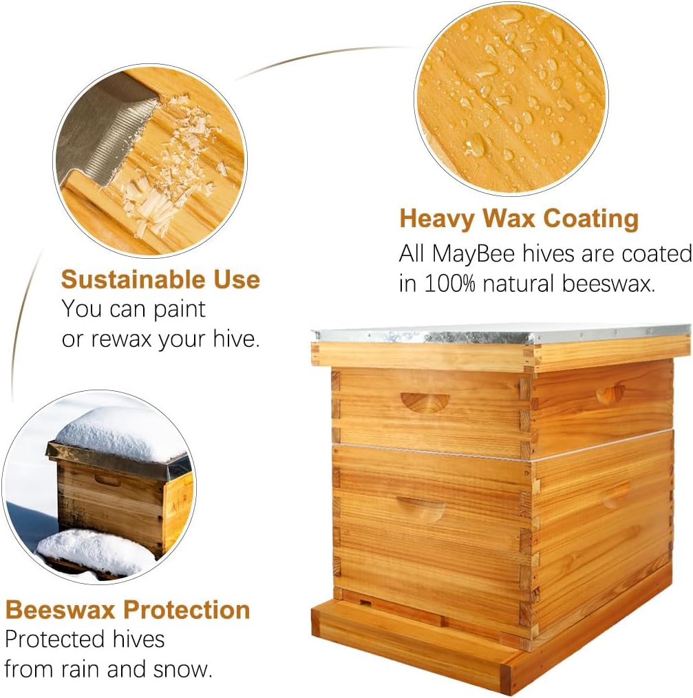MayBee 10 Frame Screened Bottom Board Beehive Dipped in Original Beeswax, Bee Hives Kit Includes 1 Deep Box & 1 Medium Box with Beehive Frames and Wax Coated Foundations - Image 3