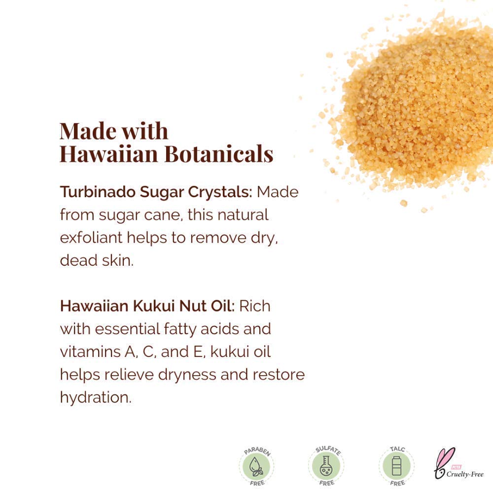 Vegan and Cruelty-Free Sugar Lip Scrub Exfoliator by Hanalei – Made with Hawaiian Cane Sugar, Kukui Oil, and Shea Butter to Exfoliate, Smooth, and Brighten Lips Made in the USA (22 g) : Beauty & Personal Care