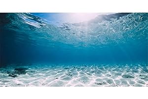 AWERT 30x18 Inch Polyester Undersea Ocean Floor Aquarium Background Underwater Tropical Fish Tank Backdrop