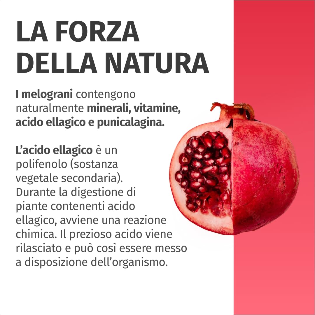 Capsule di melograno - IMPORTANTE: Estratto 50:1 (=110.000 mg) per dose giornaliera con il 40% di acido ellagico - Produzione tedesca - 2 mesi di fornitura - Green Naturals®