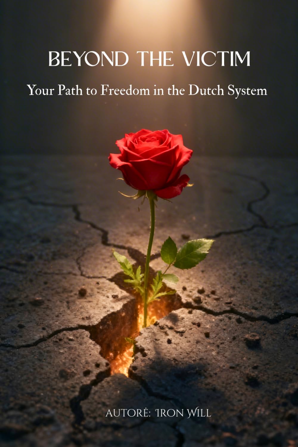 Beyond the victim: Your Path to Freedom in the Dutch System