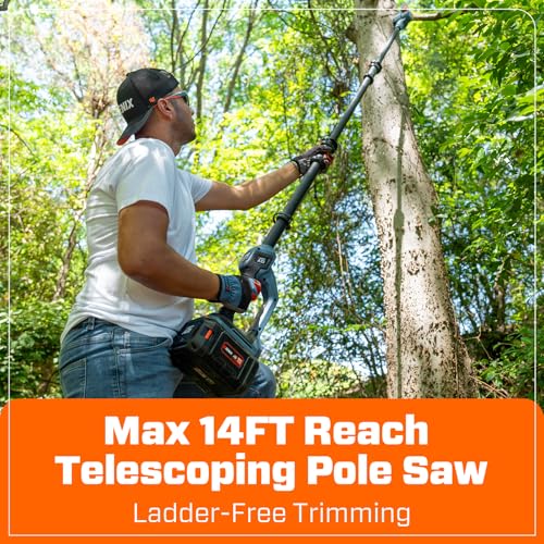 Image of SENIX 10 inch Cordless Pole Saw, 60V Max 3.0Ah Battery Powered, Carbon Fiber Telescoping Pole (4.6-8.5 ft), 65.5 ft /s Cutting Speed for Tree Pruning and Branch Trimming