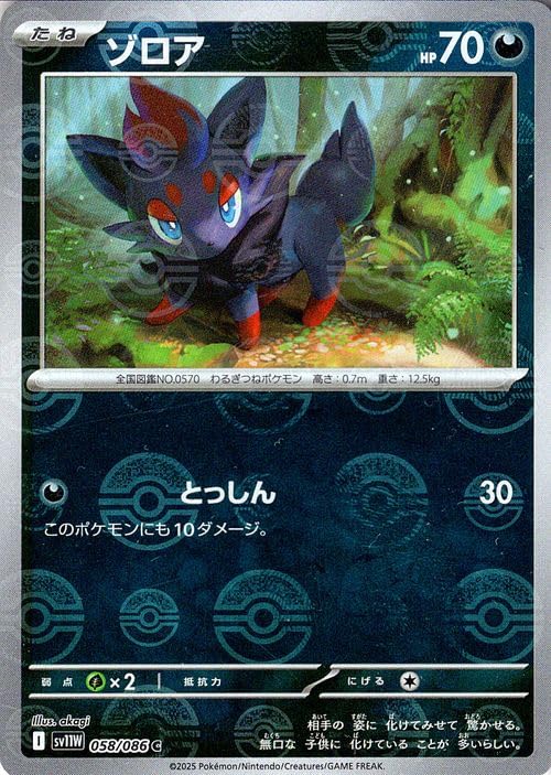Amazon.co.jp: ポケモンカードゲームSV sv11W 拡張パック ホワイト
