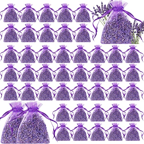 Reginary 120 Pack Lavender Sachets for Home Fragrance