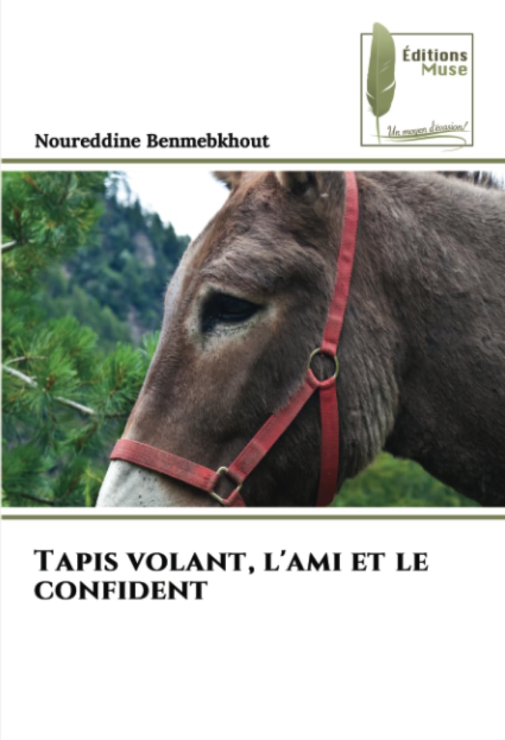 Tapis volant l'ami et le confident pour vos moments de lecture et de relaxation