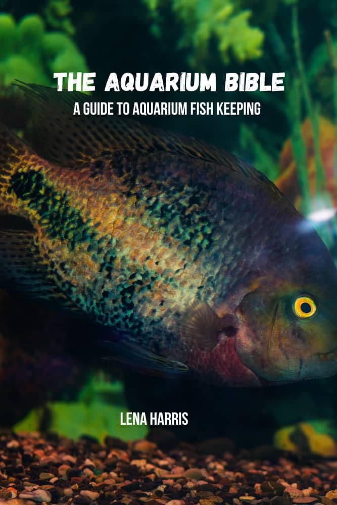 The aquarium bible: A guide to aquarium fish keeping