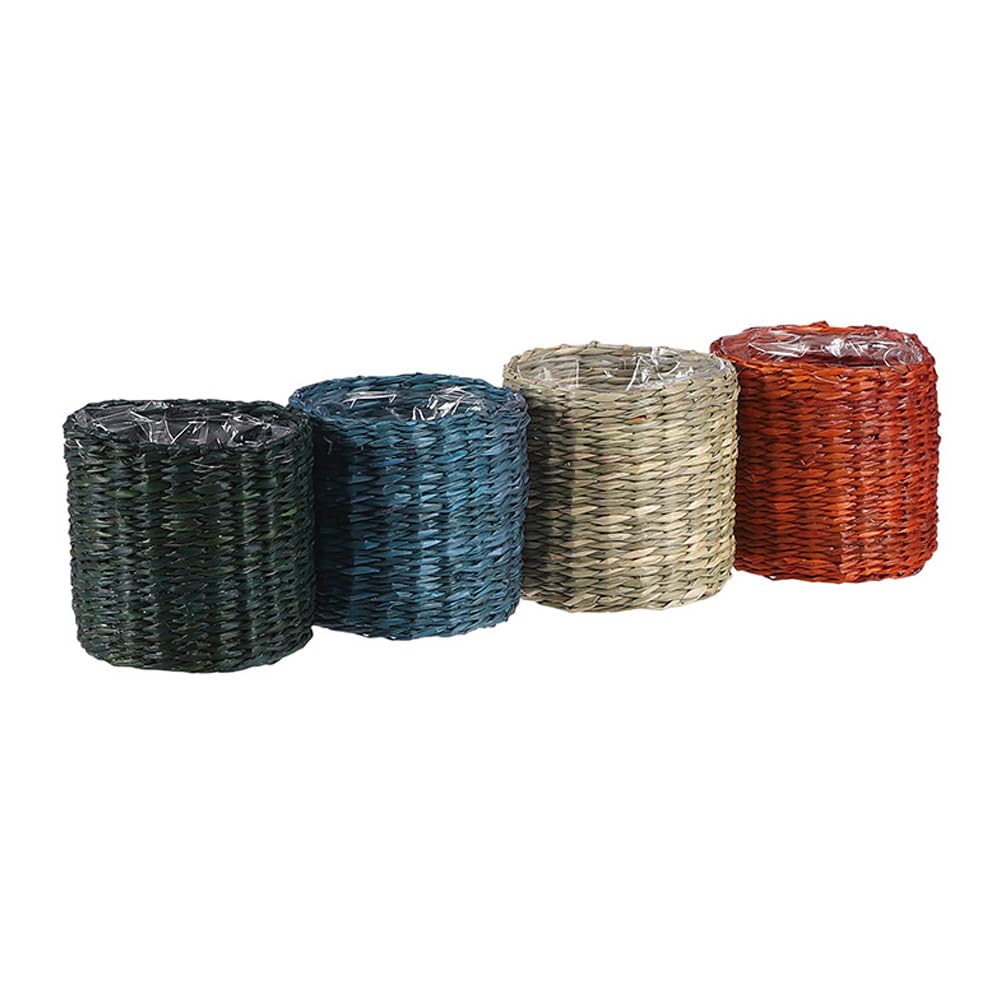 Mica cesto Modelo alexiscolor Variado 10cm x 9cm 8718861831061