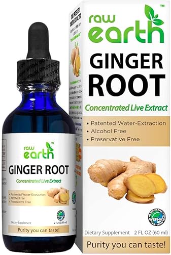 Raw Earth Natural Products Ayuda a la digestión de extracto vivo concentrado de raíz de jengibre antioxidante estimulante del sistema inmunitario y