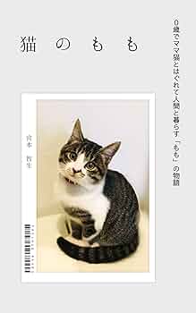▪️ momomo　▪️ Amazon.com: Cat named Momo (Japanese Edition) eBook