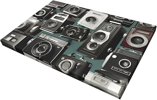 Miniatura 9 de RLDOBOFE Lienzo decorativo de pared para dormitorio, colección de cámara retro y fresca, decoración de pared abstracta para sala de estar, pinturas