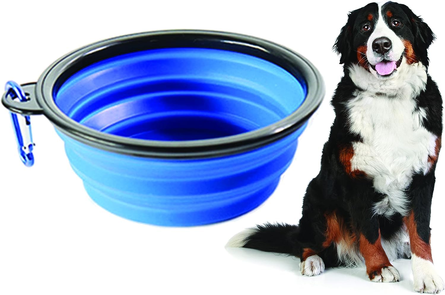 Ciotola Pieghevole Per Cani E Gatti | In Silicone Alimentare | Da Viaggio | Leggera E Igienica - Foto 11