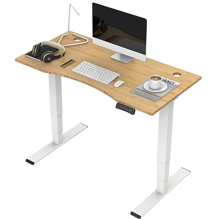 Buy FLEXISPOT Classic 3 Stages Dual Motor Electric Standing Desk 48x24