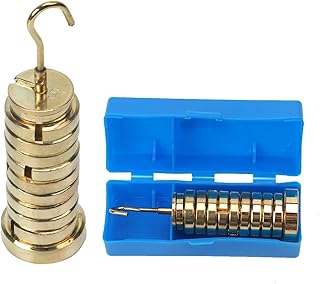 Slotted Mass Set, Slotted Weight Set, Labs Slotted Masses Physics Experiment Teaching Slotted Masses with Hanger, Brass Slotted Set, 13 Weights with Hanger and Case(Total 250g)