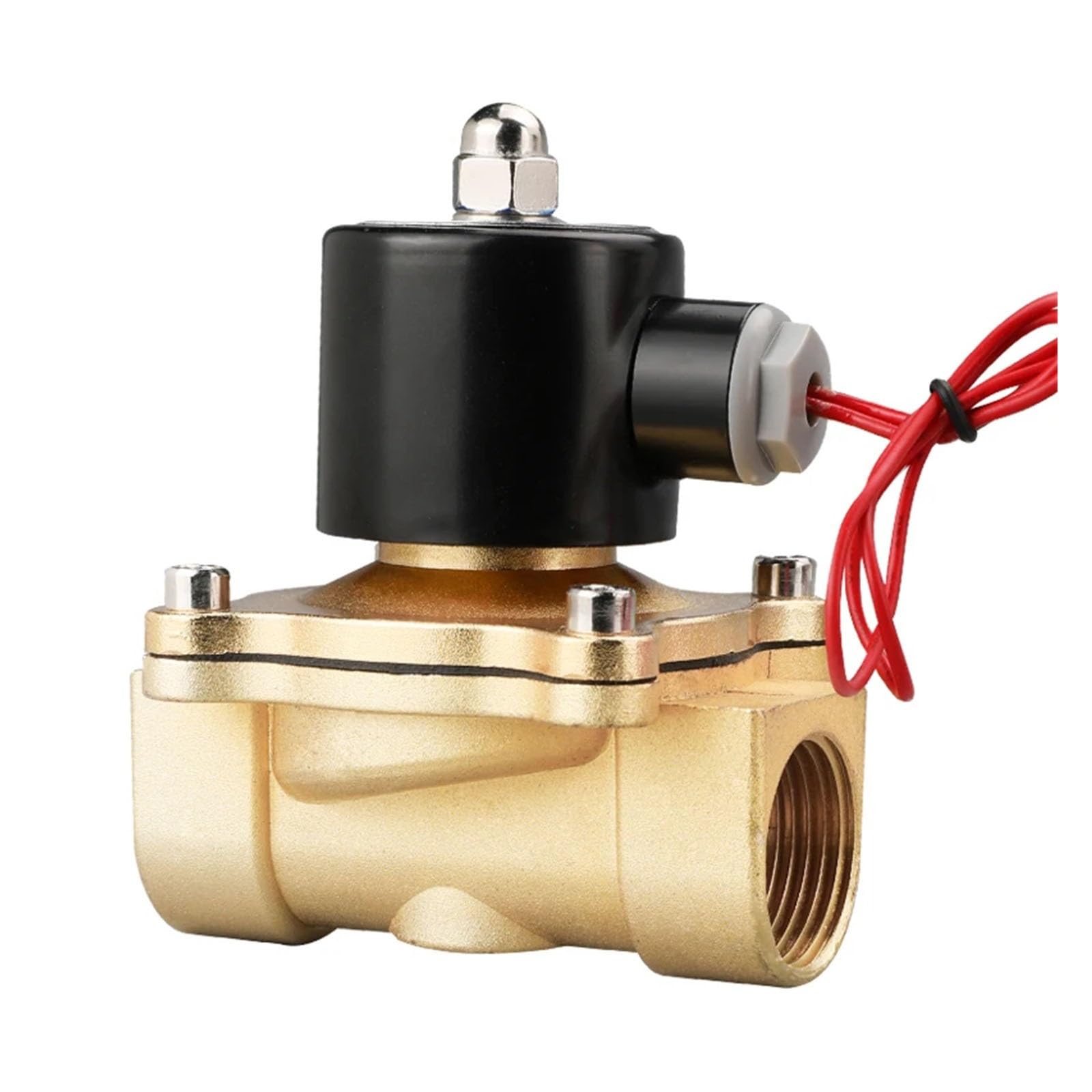 Électrovanne pneumatique 1/2 AC220V idéale pour l'arrosage automatique du jardin