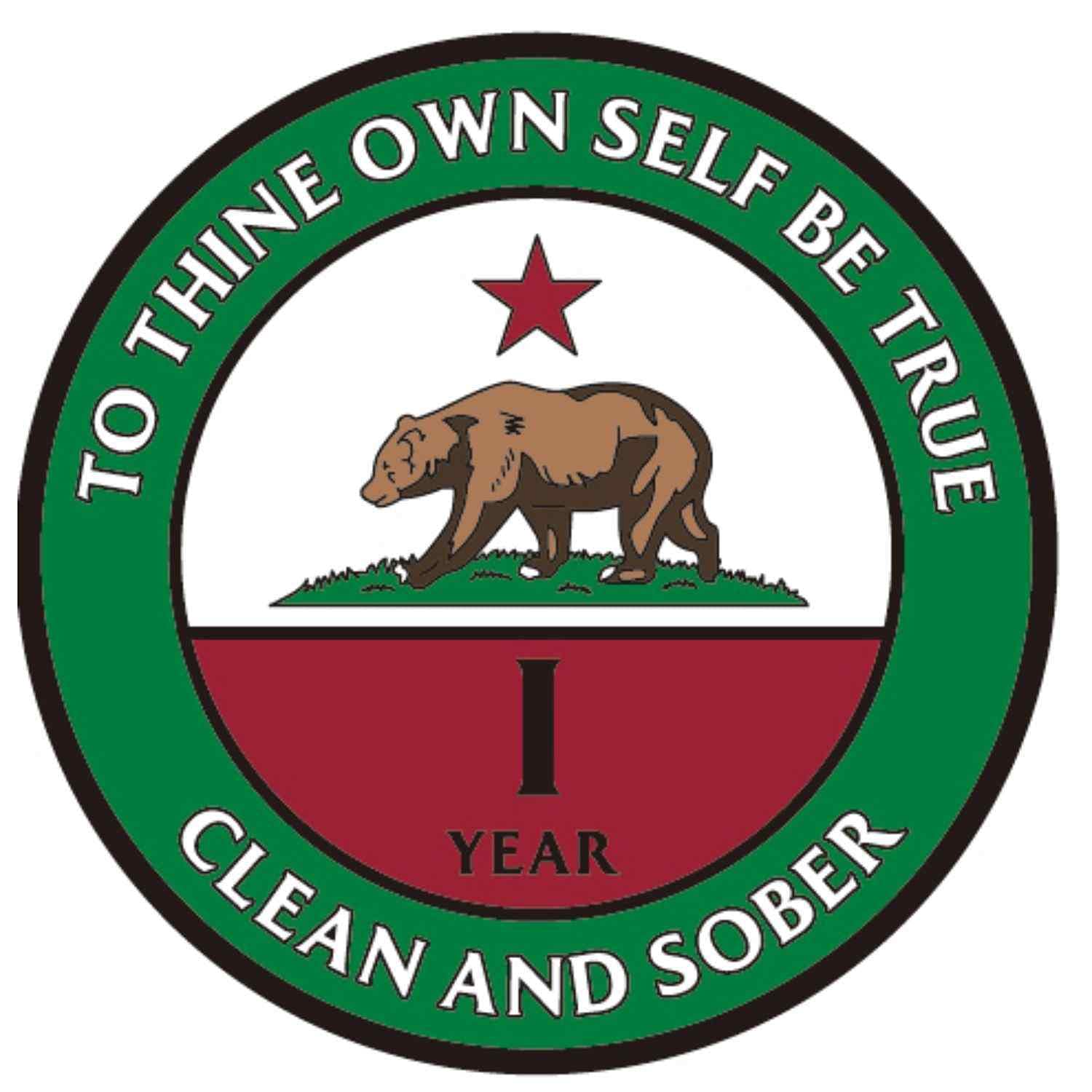 MYRECOVERYSTORE California Bear Recovery Medallion Years 1-50 Available Alcoholics Anonymous AA Chip (Year 1-50) Year 1