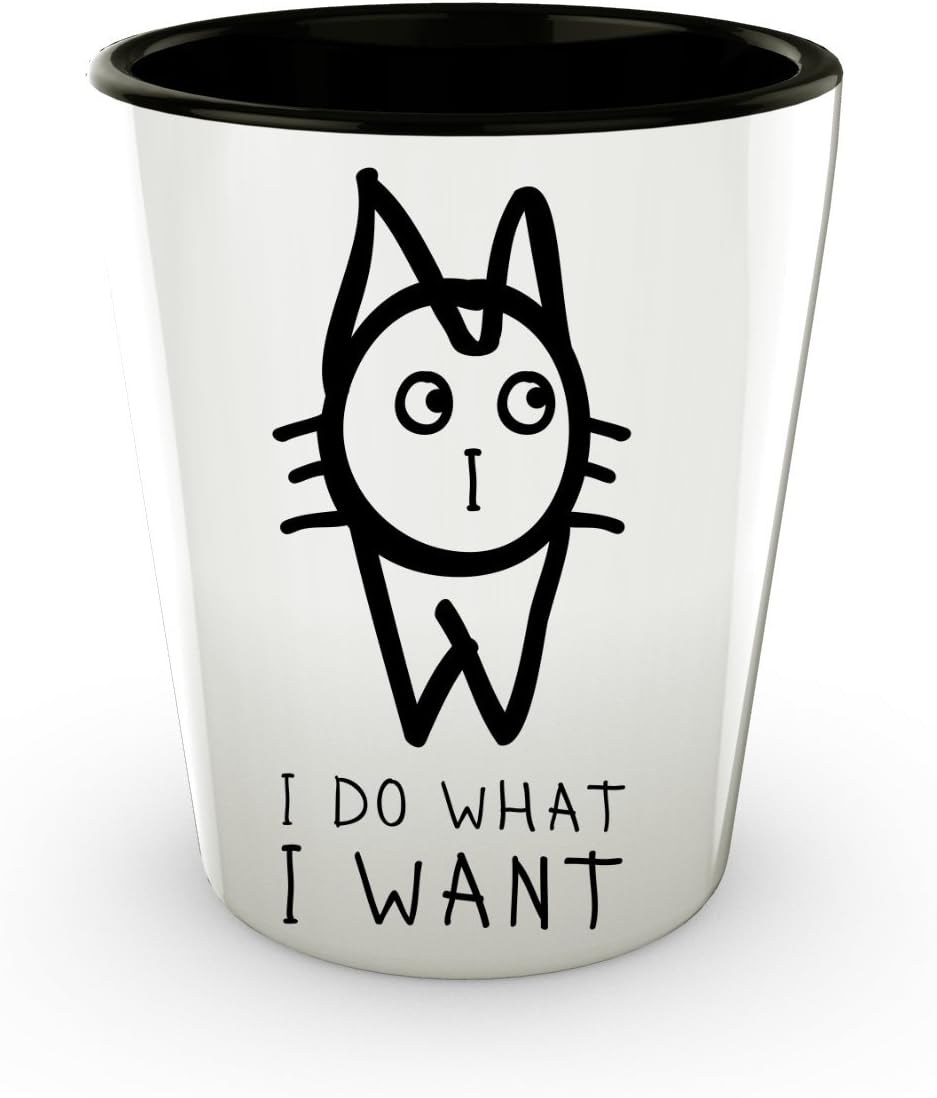 Funny Shot Glass, Funny Shot Glasses Set, I do what I want