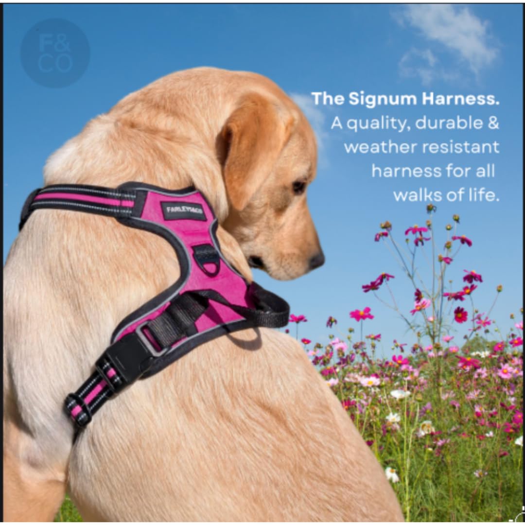 Farleys&Co Signum Dog Harness, Weather-Resistant, Anti-Pull System - Image 4