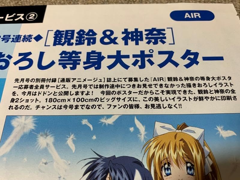 Amazon.co.jp: 描きおろし等身大ポスター アニメAIR 観鈴＆神奈 京都