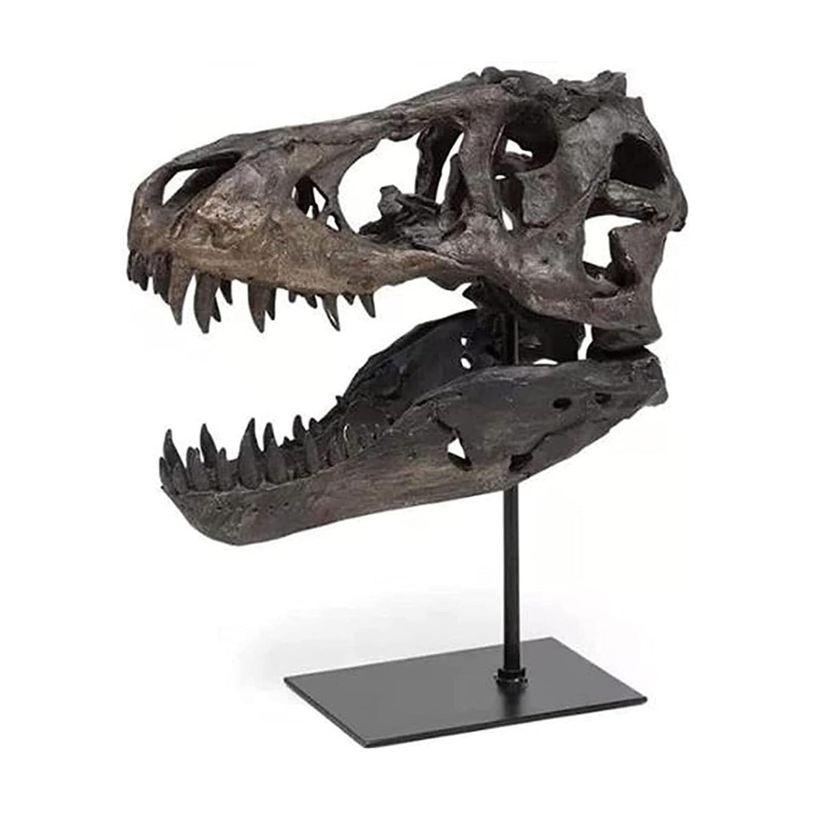 Dekoracja pomieszczenia model czaszki dinozaura ze stojakiem, skamielina, archeologia, rzemiosło, rekwizyt do nauki, zabawne akcesoria na biurko